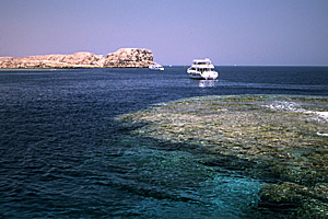 Dive Boat and Coral, Naama Bay, South Sinai, Egypt - Click to Zoom