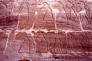 Severed Hands (Top) and Penises (Bottom), Thebes, Aswan, Egypt - Click to Zoom