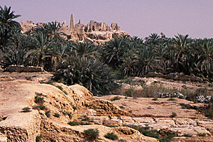 Ruins of Aghurmi from the Oracle of Amun, Siwa Oasis, Matruh, Egypt - Click to Zoom