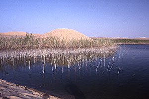 Bir Wahed (Well Number 1), Siwa Oasis, Matruh, Egypt - Click to Zoom